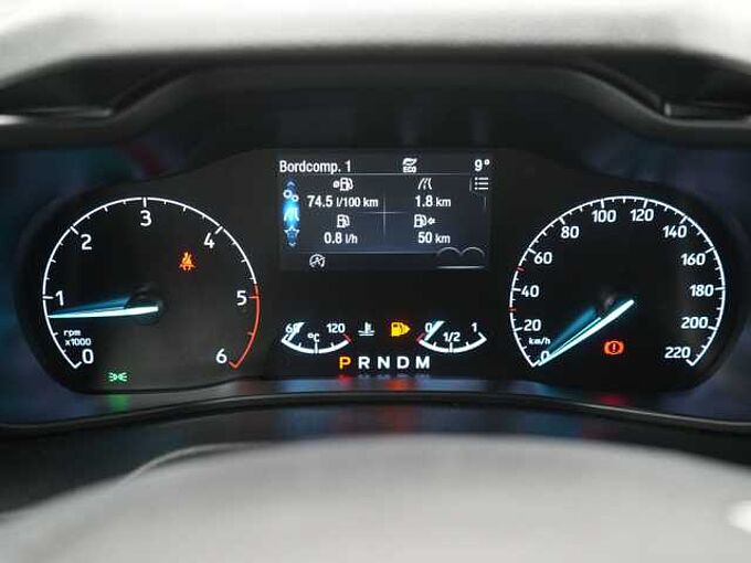 Ford Transit Connect SHZ FLÜGELTÜR PDC