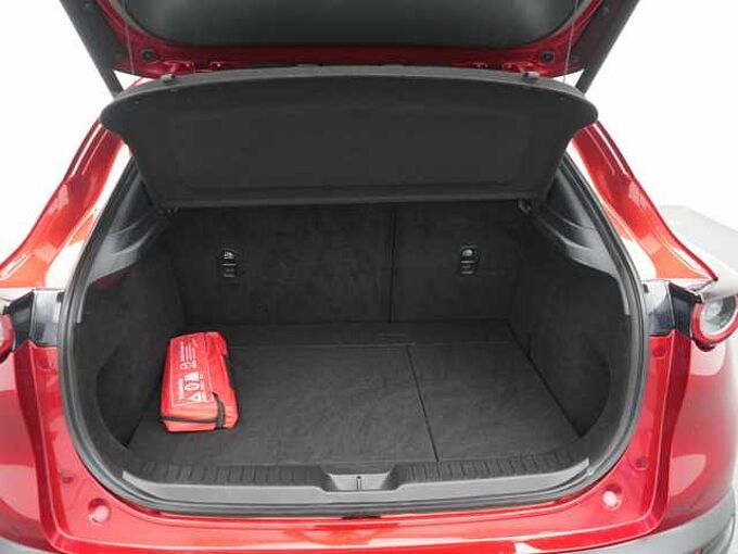 Mazda CX-30 SKYACTIV-X M Hybrid ACC AHK NAVI BOSE