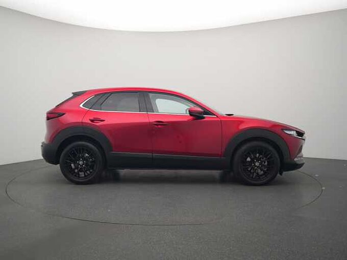 Mazda CX-30 AHK ACC BOSE 360° HUD SHZ