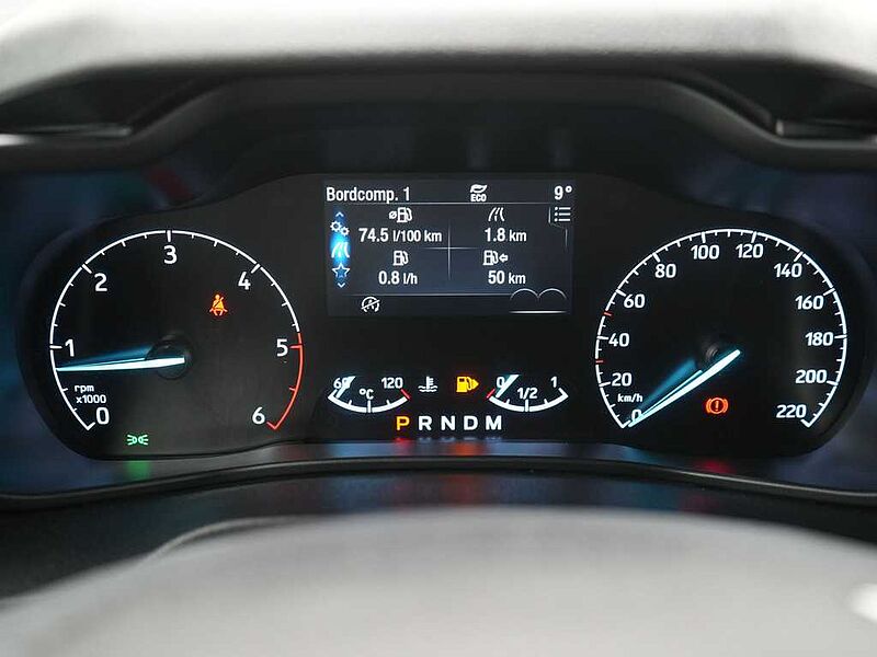 Ford Transit Connect SHZ FLÜGELTÜR PDC