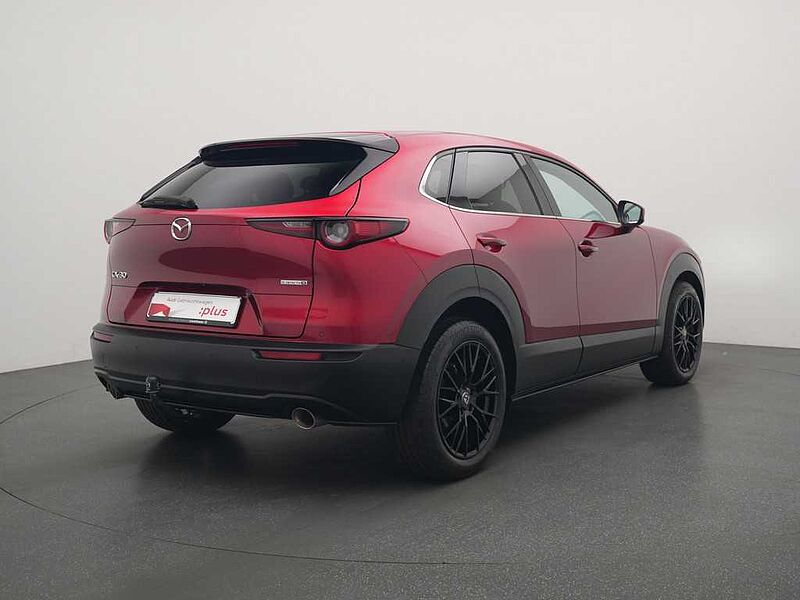 Mazda CX-30 AHK ACC BOSE 360° HUD SHZ